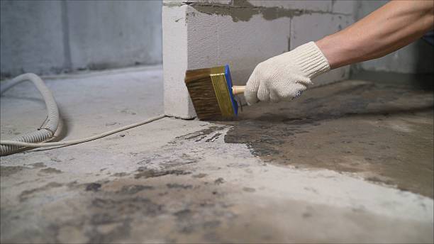 24/7 Emergency Crawl Space Encapsulation experts in Otsego, MI